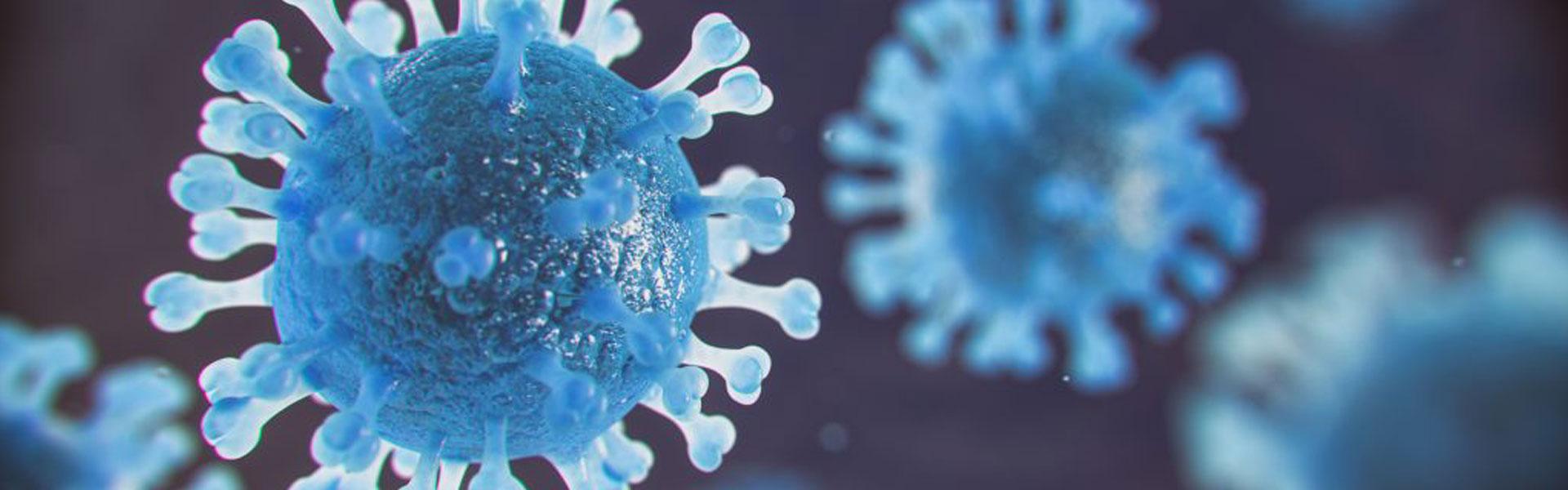 Mehr über den Artikel erfahren Coronavirus / Informationen